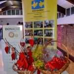 Humanitarna aukcija RotarART