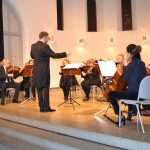 dso homurg19