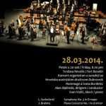 dso11