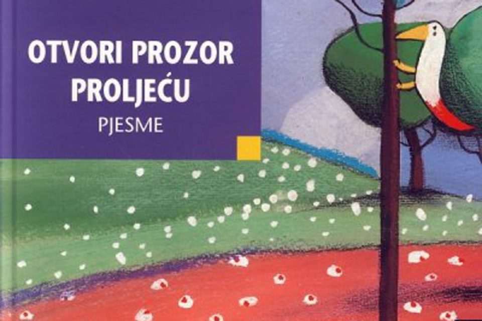 Dubrovačke knjižnice