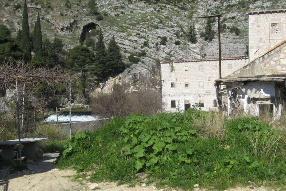 Dan zaštite rijeka - Ombla
