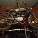 roxy08