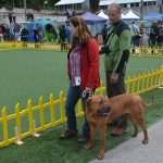 CACIB 2014