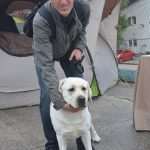 CACIB 2014