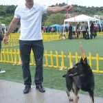 CACIB 2014