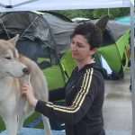 CACIB 2014