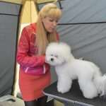 CACIB 2014