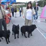 CACIB 2014