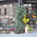 Bad Homburg