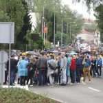 kolona3