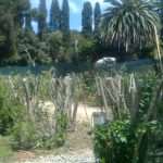 Lokrum 18