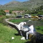 Trnovica 25