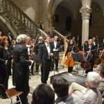 dso knezev 5