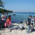 zelena cistka cavtat12