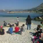 zelena cistka cavtat31