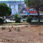 Batala11