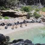 Rendjeri Mljet2