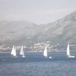 cavtat regata02