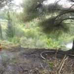 pozar lopud 110614 1
