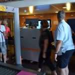 regal princess 31