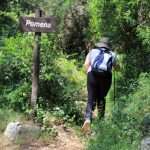 TREKKING