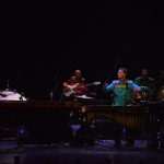 Sudar percussion 04