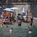 divlja bellevue02072014 1
