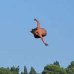 divlja bellevue02072014 14