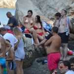 divlja bellevue02072014 15