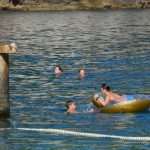 divlja bellevue02072014 2