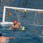 divlja bellevue02072014 5