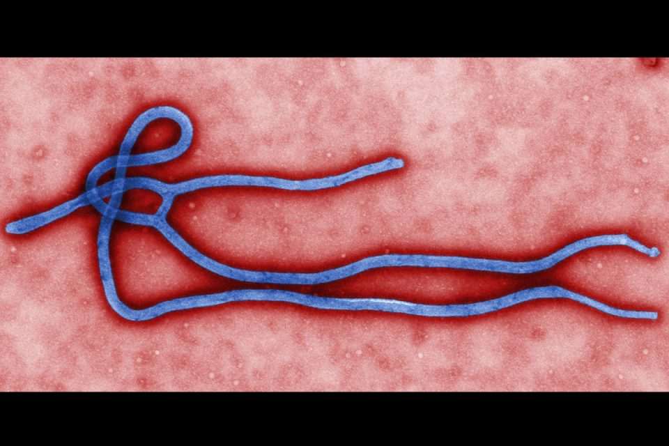 ebola wiki01