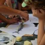 Gyotaku