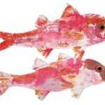 gyotaku prirodoslovni02