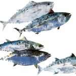 gyotaku prirodoslovni04