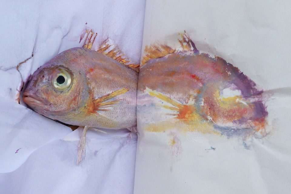 gyotaku prirodoslovni07