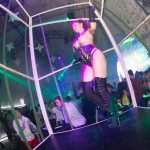 La Fiesta: Taste of Fetish, Niki Belucci u Revelinu, 11. Srpnja 2014. godine