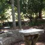 lopud park kolone01