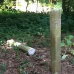 lopud park kolone04