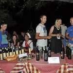 noc vina mljet4