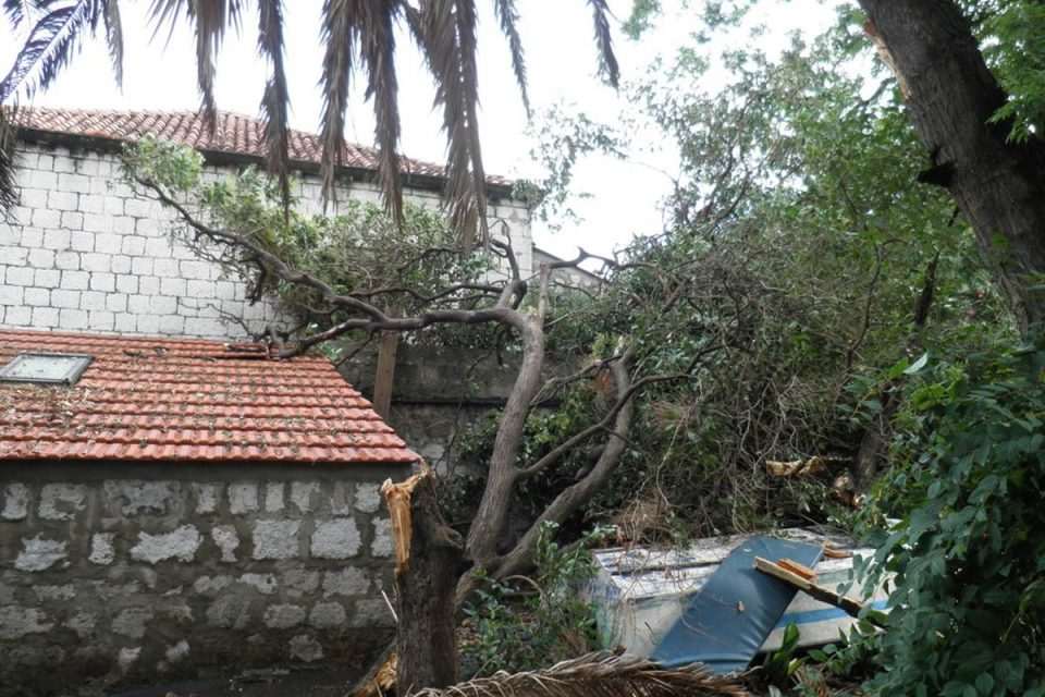 Posljedice šijuna u Gružu