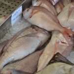 ribarnica arbun pagar02