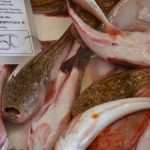 ribarnica skrapunada gruz