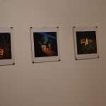 Izlozba Damir Fabijanic 3