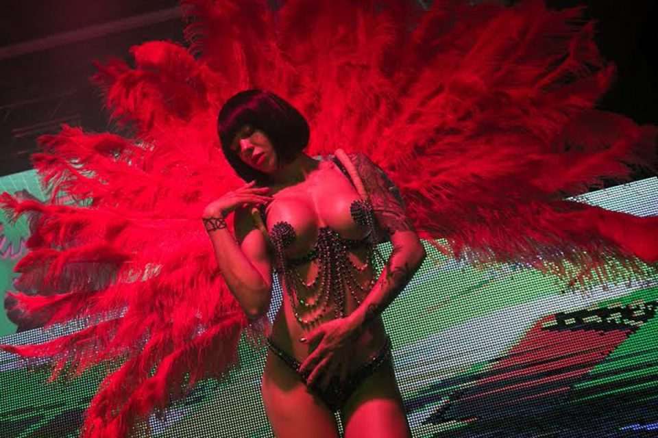 La fiesta 11
