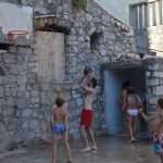 divlja sulic 15
