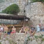 divlja sulic 20