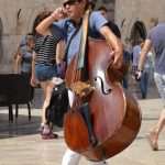 djir stradun 14