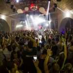 fedde revelin 5