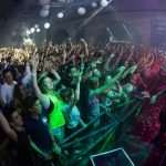 fedde revelin 7
